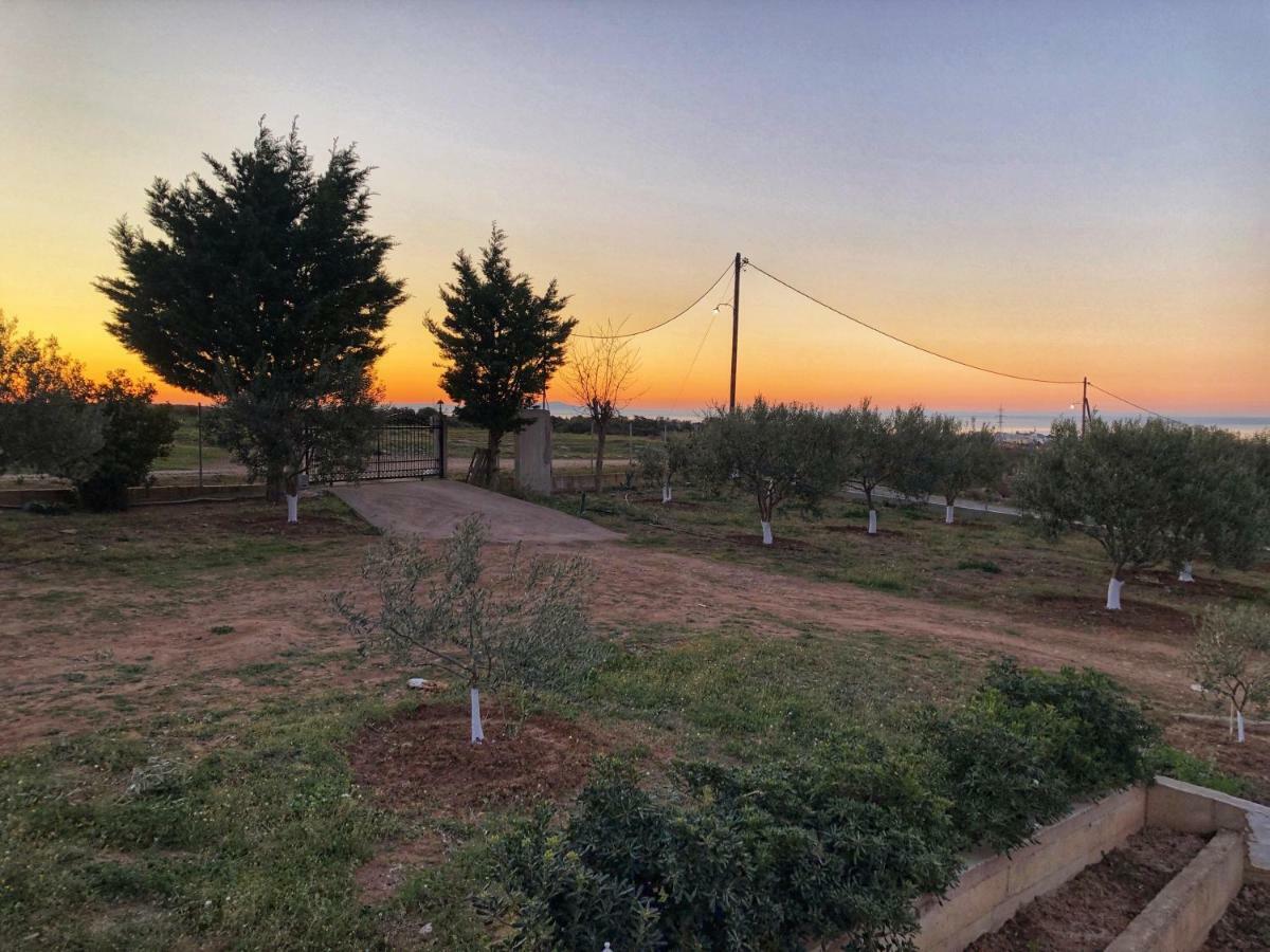 Вилла The Hillhouse Near Alexandroupolis Экстерьер фото
